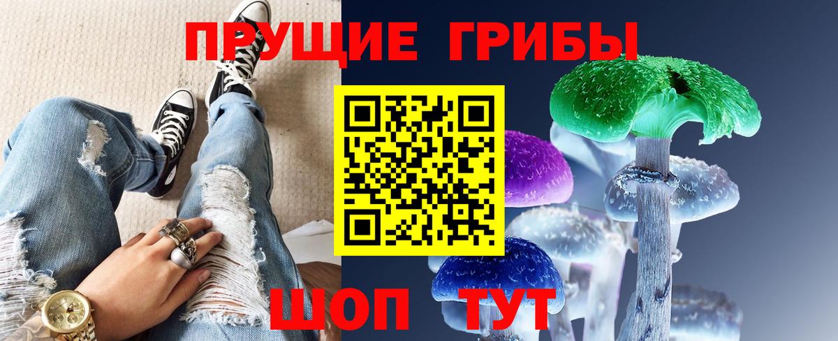 Тимашёвск  Псилоцибиновые грибы мухоморы  Вход с VPN  Галлюциногенные грибы прущие грибы 