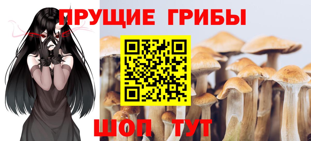 Конопля Тимашёвск